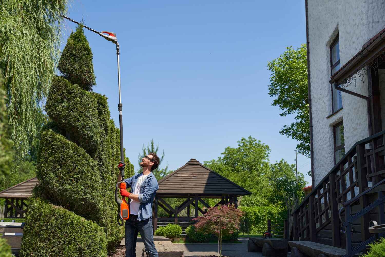 Tree Branch Trimming in Bay City, TX